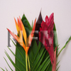 flower tropical wedding bouquet